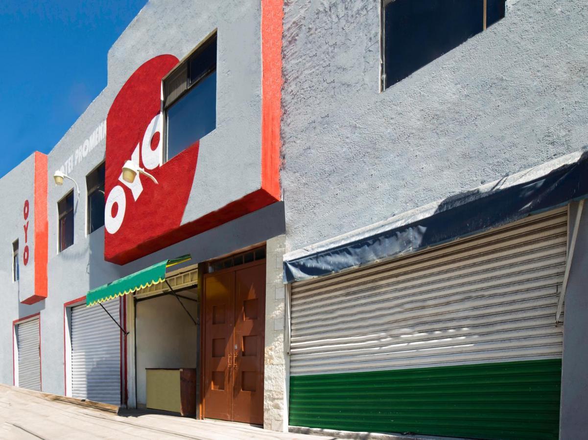 Oyo Promenade,Terminal Central De Autobuses De Guanajuato Exteriér fotografie