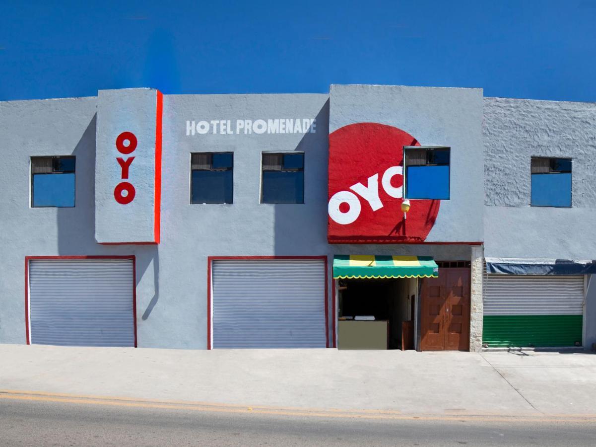Oyo Promenade,Terminal Central De Autobuses De Guanajuato Exteriér fotografie